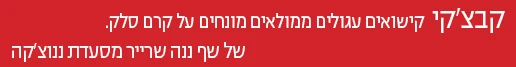 ננה שרייר מסעדת ננוצ'קה תל אביב